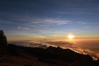 《主播女孩重度依赖》发售一周 Steam销量突破10万